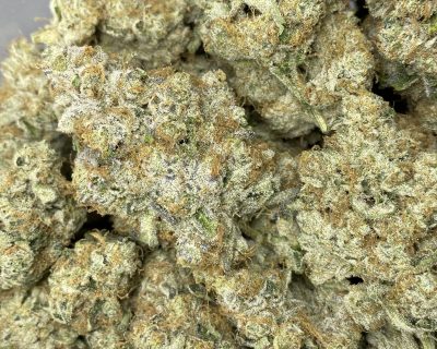 WEDDING CAKE (UNLICENSED PRODUCER) - Image 1