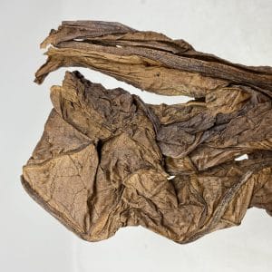 RED HERRING FULL LEAF