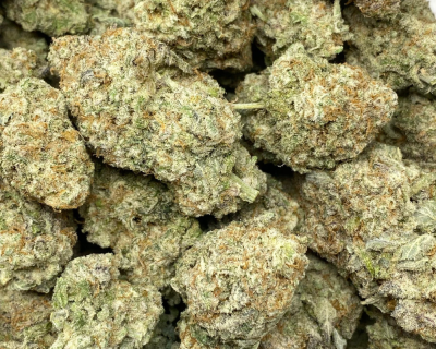 BIRTHDAY CAKE (EXOTIC)
