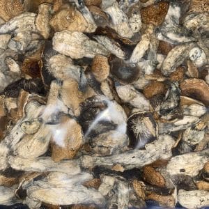 3.5g MUSHZOOMS - (SHROOM MEGA SALE) - Image 3