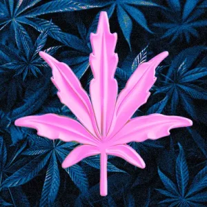 1-GRAM SAMPLE - Image 1