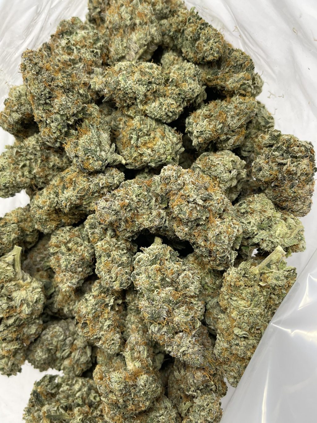 BURT REYNOLDS STRAIN