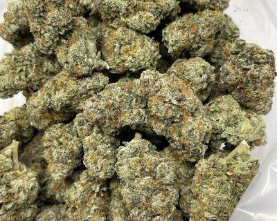 BURT REYNOLDS STRAIN