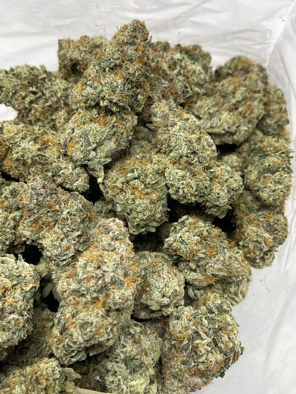 BURT REYNOLDS STRAIN