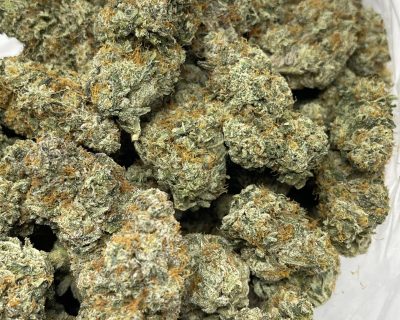 BURT REYNOLDS STRAIN