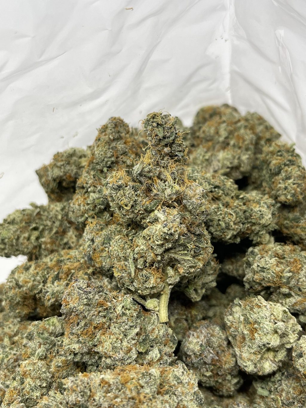 BURT REYNOLDS STRAIN