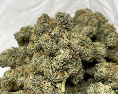 BURT REYNOLDS STRAIN