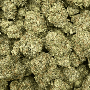 PINK TUNA (GAS) - Image 2