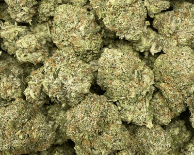 PINK TUNA (GAS) - Image 2