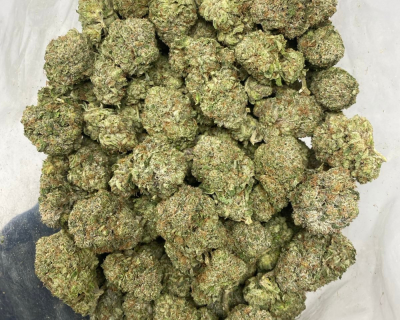 PINK TUNA (GAS) - Image 3
