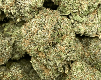 PINK TUNA