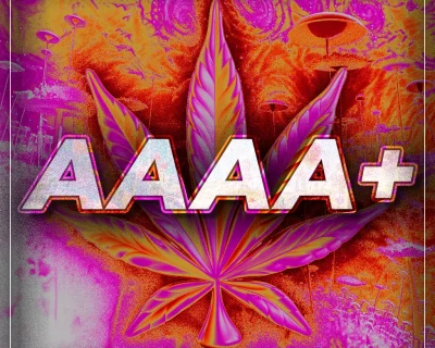 Buy AAAA+ Flower Online