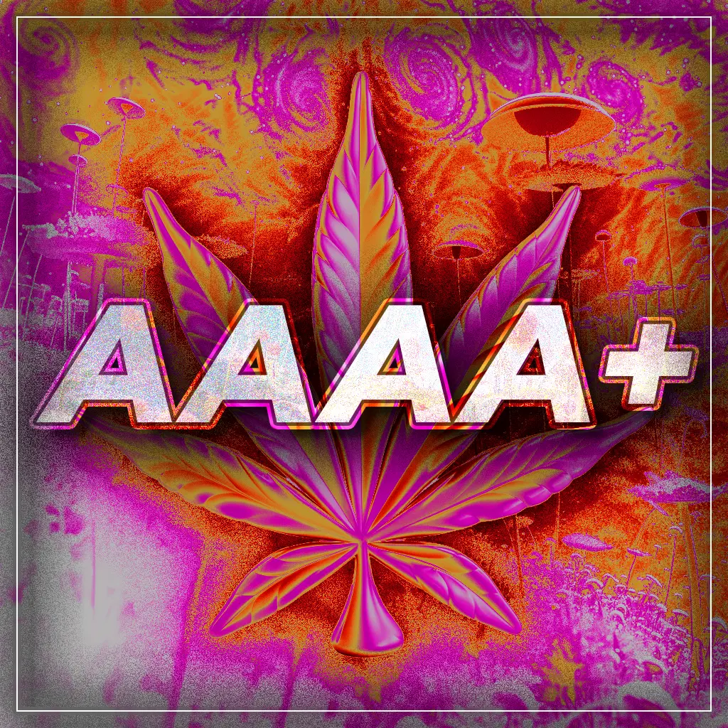 Buy AAAA+ Flower Online