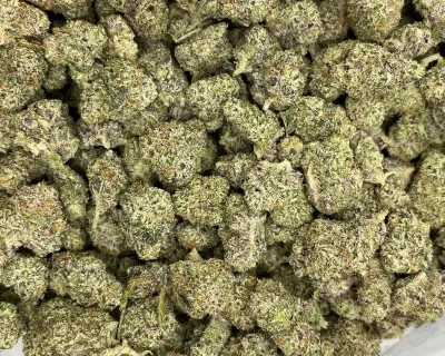 DANK SINATRA SMALLS (EXOTIC GAS) - Image 6
