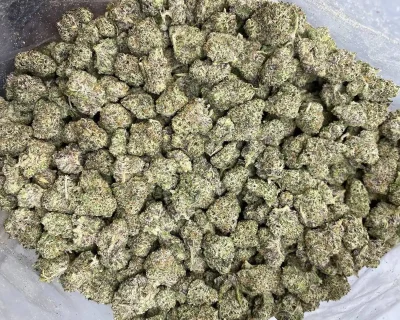 DANK SINATRA SMALLS (EXOTIC GAS) - Image 5