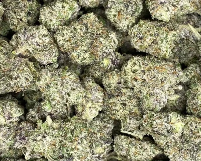 DANK SINATRA SMALLS (EXOTIC GAS) - Image 1