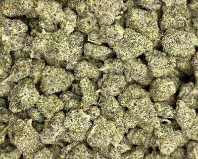 DANK SINATRA SMALLS (EXOTIC GAS) - Image 2