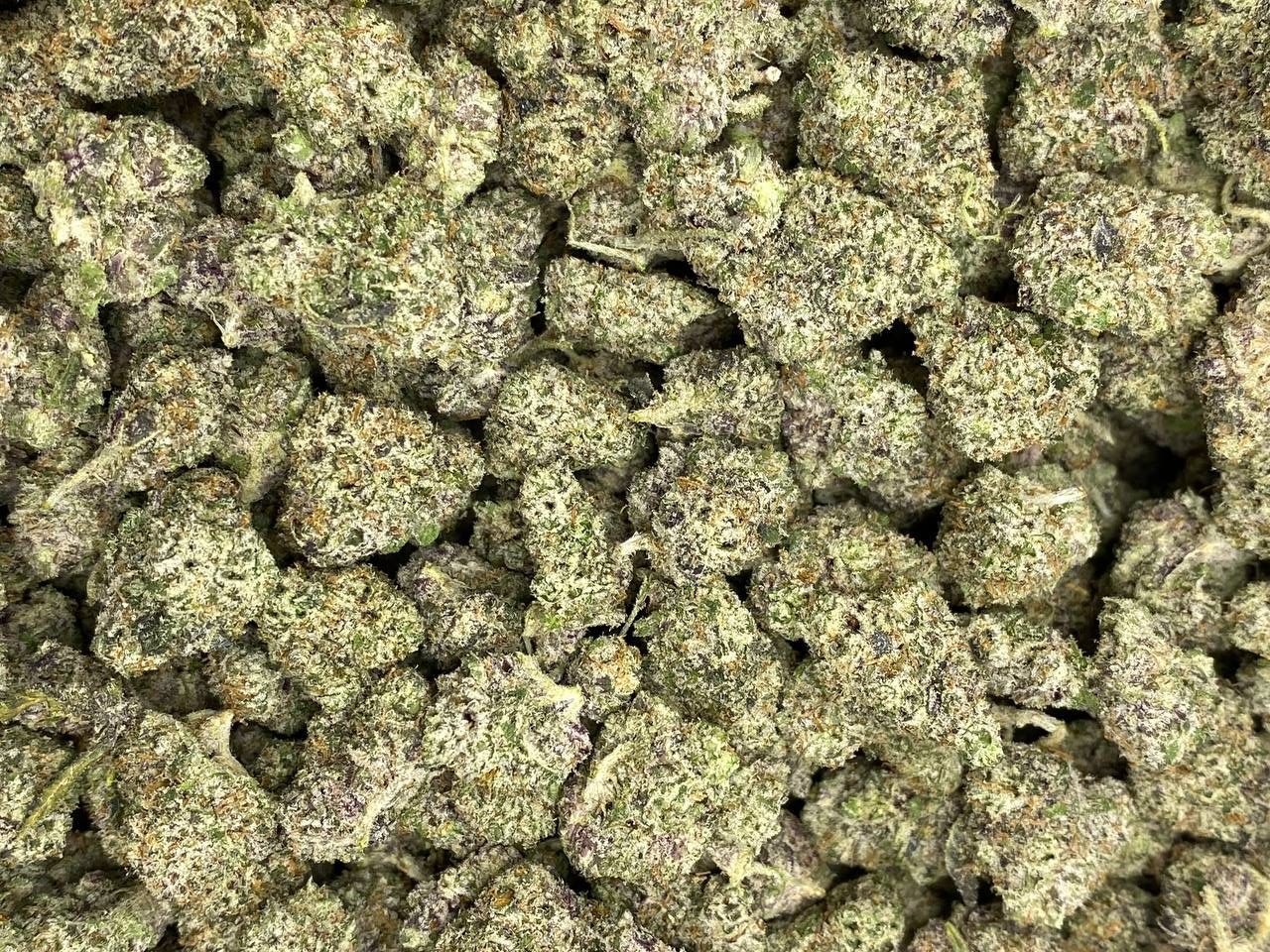 DANK SINATRA SMALLS (EXOTIC GAS) - Image 2