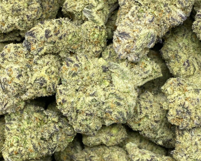 WHITE CHOCOLATE LSO (EXOTIC) - Image 2