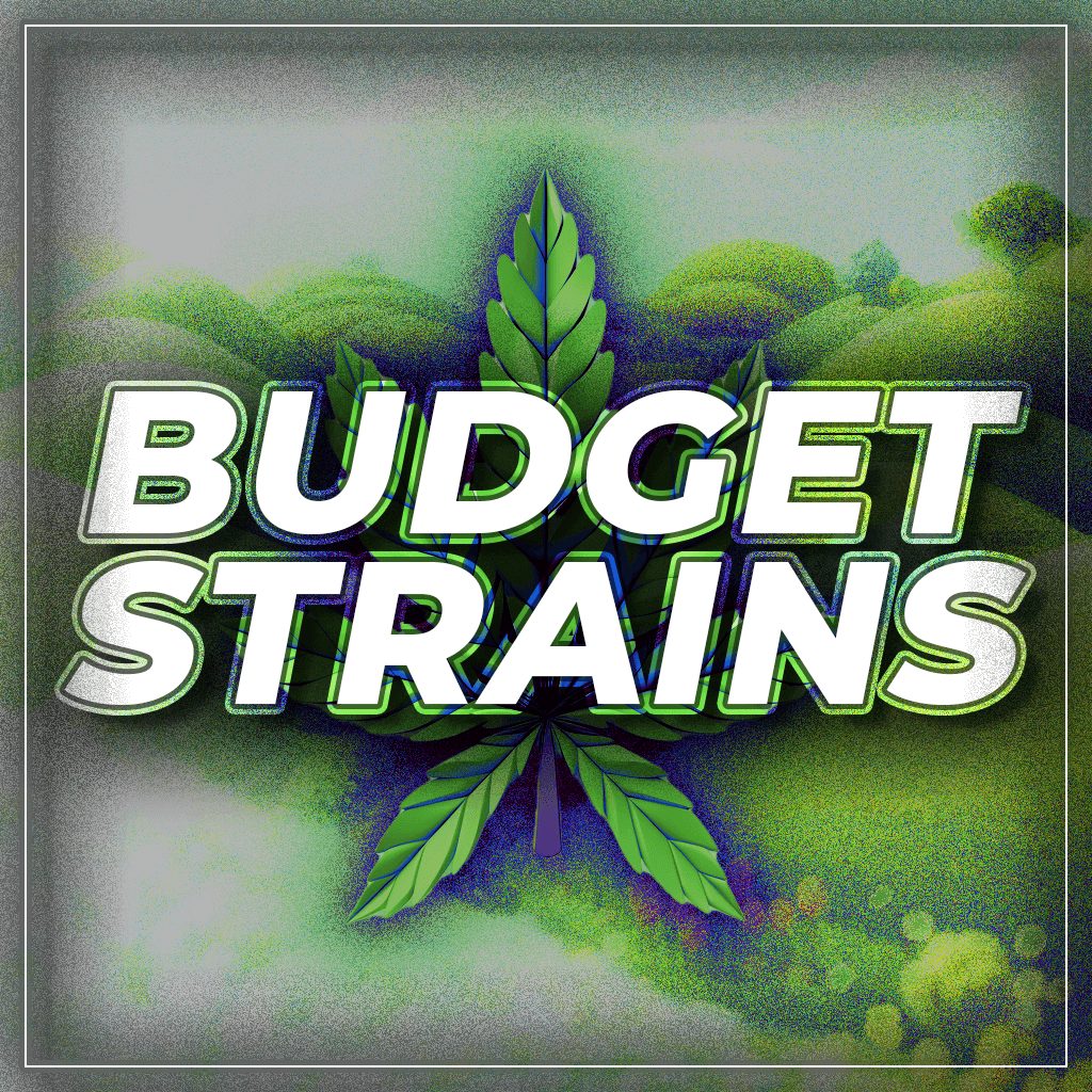 Buy Budget Strains Online