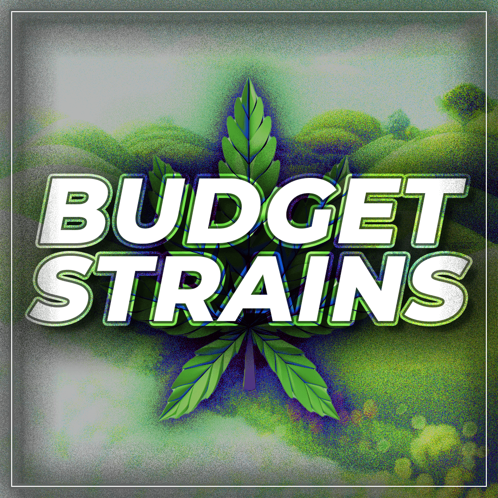 Budget Strains