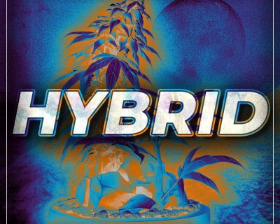 Buy Hybrid Cannabis Online