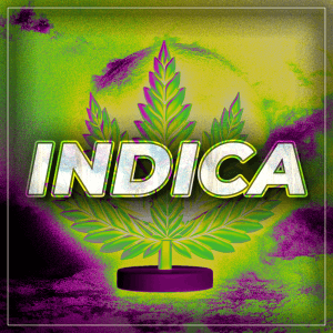 Buy Indica Cannabis Online