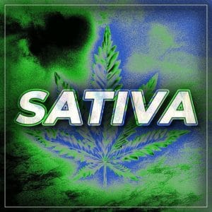 Sativa