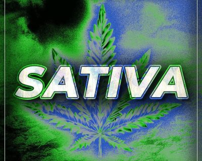 Buy Sativa Cannabis Online
