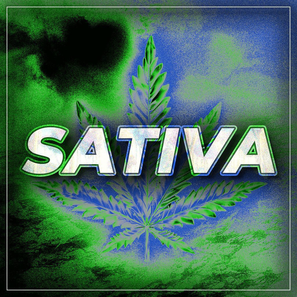 Buy Sativa Cannabis Online