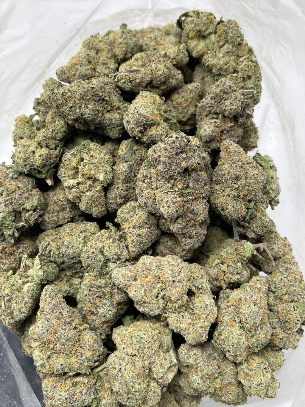 MILK & COOKIES STRAIN
