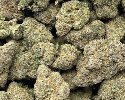 MILK & COOKIES STRAIN