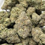 MILK & COOKIES STRAIN