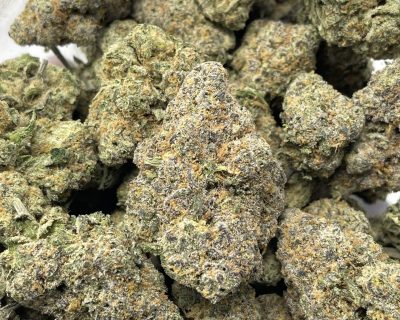 MILK & COOKIES STRAIN