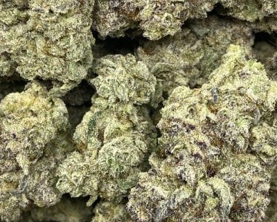 WHITE CAVIAR LSO (EXOTIC) - Image 2