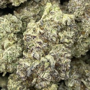 WHITE CAVIAR LSO (EXOTIC) - Image 1