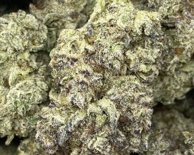 WHITE CAVIAR LSO (EXOTIC) - Image 1