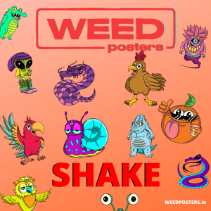 BUDGET SHAKE ($9.99 OZ/$29.99 QP DEAL) - Image 1