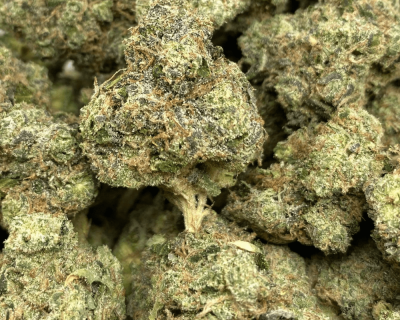 DURBAN POISON (SATIVA DEAL) - Image 1