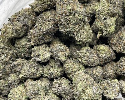 GODFATHER TUNA (EXTREME GAS) - Image 3
