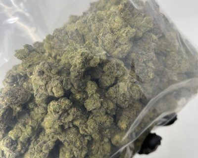 ANIMAL FRITTER smalls (EXOTIC BULK DEAL!) - Image 5