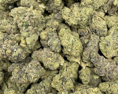 ANIMAL FRITTER smalls (EXOTIC BULK DEAL!) - Image 4