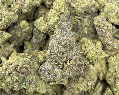 ANIMAL FRITTER smalls (EXOTIC BULK DEAL!) - Image 1