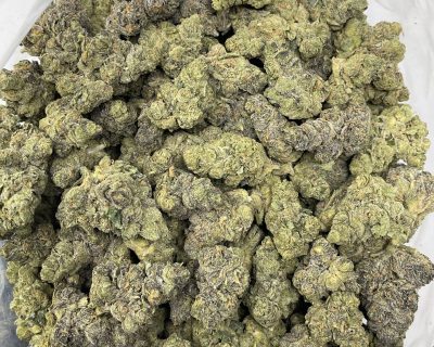 ANIMAL FRITTER smalls (EXOTIC BULK DEAL!) - Image 2