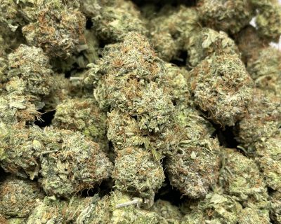 SO LOUD PINK (MEGA GAS DEAL) - Image 1