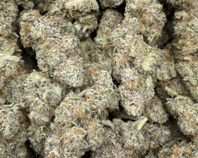 FROSTED FRUIT CAKE (EXOTIC) (TROPHY CUT DEAL) - Image 3