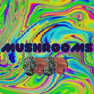 Buy Psilocybin Mushrooms Online