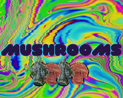 Buy Psilocybin Mushrooms Online