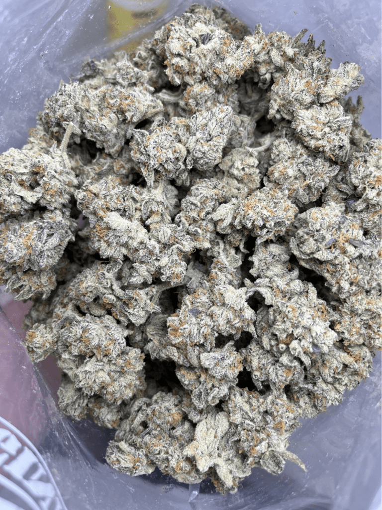 online dispensary canada