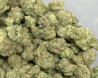 ALIEN KUSH (BUDGET EXOTIC) - Image 3